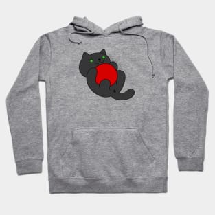 Kitty Playtime Hoodie